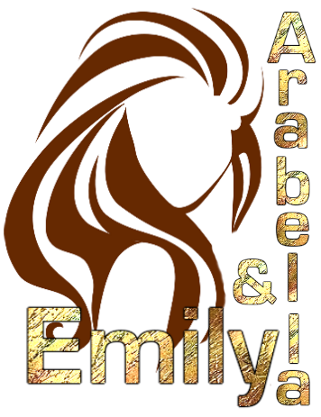 Emi &amp; Ari Logo
