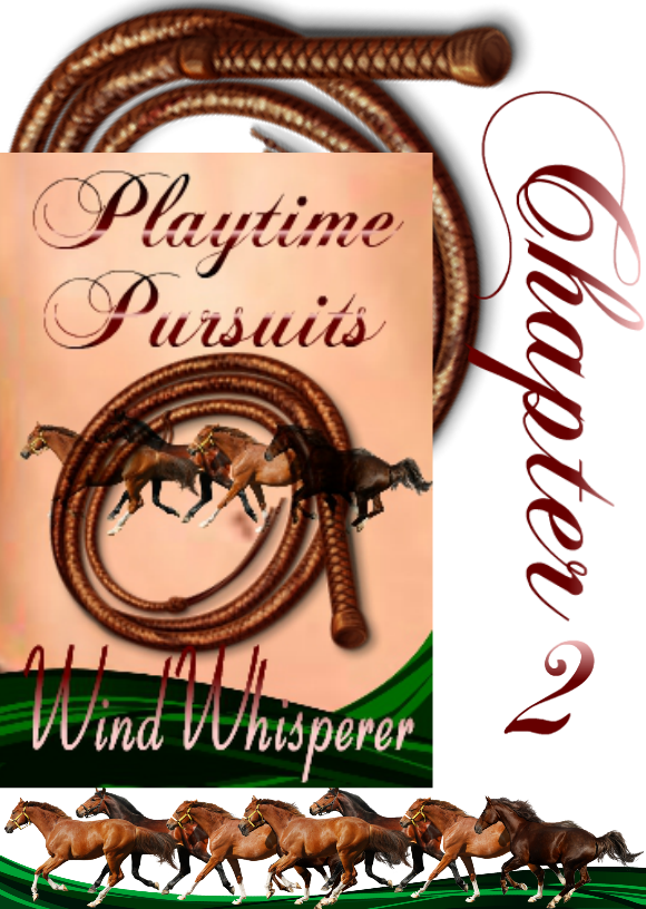 2 Chapter Ads - Playtime Pursuits