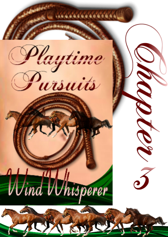 3 Chapter Ads - Playtime Pursuits